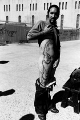 Dragon Tatoo,Douglas Kent Hall