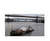 20121109034918-mattinglycropped-215x120