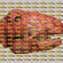 20121109090709-behold__the_lamb_of_god_dot_