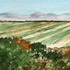 20121109235305-nancy_halpin