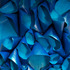 20121110142035-dsc08154-web