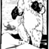 20121110201624-polar_bear_with_mittens