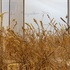 20121111130831-anselm_kiefer_1