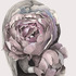 20121111182414-drawing_sirikulpattachote-1_web