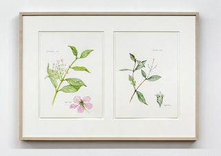 Installation view,Tony Romano