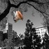 20121112174144-photo