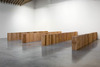 20121113012835-ca-379-sc_cedar_slug-450