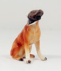 Mestizo Mutt,Franco Mondini-Ruiz