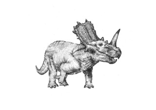 Triceratops,