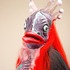 20121114172910-hannah_cat