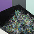 20121114210336-contained_rgb_web