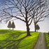 20121114215519-country_cemetery