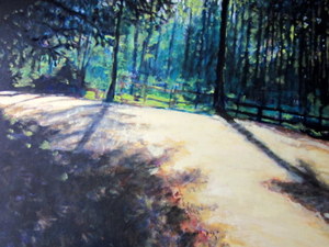20121114215642-shadows_on_sand_road
