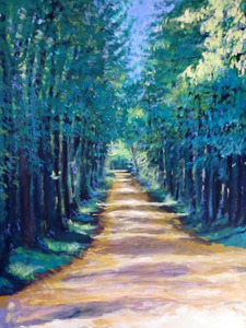 20121114215859-sun-dappled-road