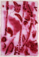 1_image
