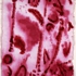 1_image