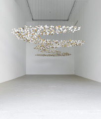  Pop Storm,Pae White