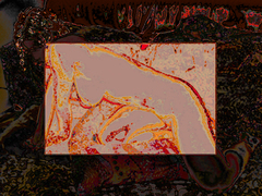 Nu_66