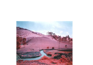 Men of Good Fortune (Infra Series),Richard Mosse