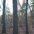 20121117033159-gary_petlak_jr