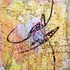 20121117193532-ethnical_graffiti_4