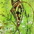 20121117194219-ethnical_graffiti_12