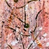 20121117195221-ethnical_graffiti_16