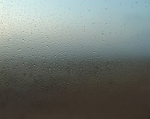 Dew,Ori Gersht