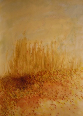 20121118062510-dscn4073