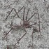 20121118192956-image