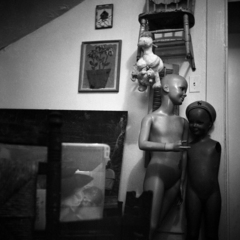 Horrible Things,Stephanie Aust