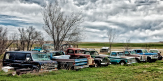 Vintage Car Graveyard,Cynthia Fleury