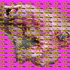 20121119003547-the_sin_of_the_calf__pink_bubblegum_