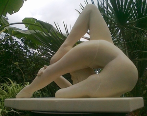 20121119121802-contorsion