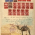 Document_camel_and_dung_beatle__mixed_media
