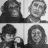 20121120001623-art-and-activism-ss-1