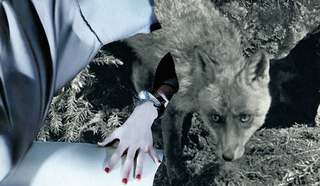 Untitled,Barbara Breitenfellner
