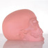 20121206085258-sl_2011_pink-skull_bc6028-bc6039_web
