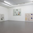 20121121120357-07_andreas_grob_scapeland_2012_installshot