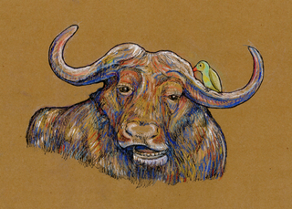 Happy Buffalo,Jasmine Parker