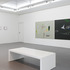 20121122133258-05_andreas_grob_scapeland_2012_installshot