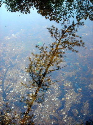 20121124035525-dscn6755