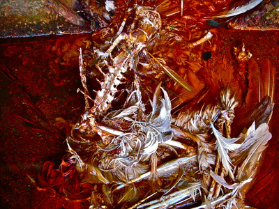 20121124035647-dscn6832