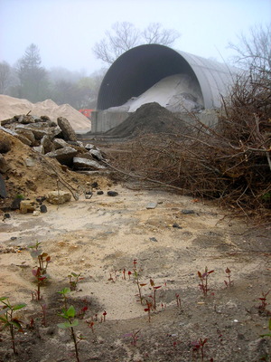 20121124040007-dscn7450