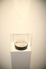 Artist should be beautiful (installation),Pei Li