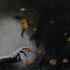 20121128002140-night_garden