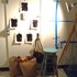20121128002610-star_of_man