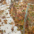 20121128011250-algonkian_park__northern__virginia__oil_on_canvas__60_x_48