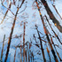 20121128011403-skyscrapers__solomons__maryland__oil_on_canvas__40_x_30