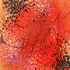 20121128180418-ma_vie_rose_-_leiawbviii8